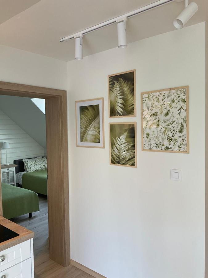 Apartamenty U Kasi Kudowa-Zdrój Esterno foto